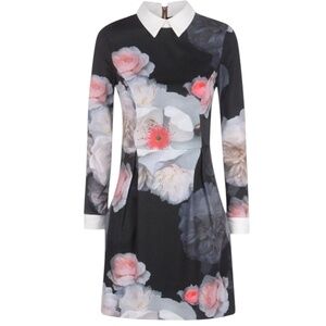 Ted Baker Kaleesa Chelsea Flower Collared Dress Size 0